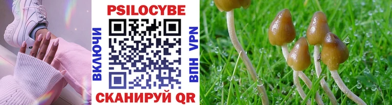 Псилоцибиновые грибы мухоморы  Новомосковск 