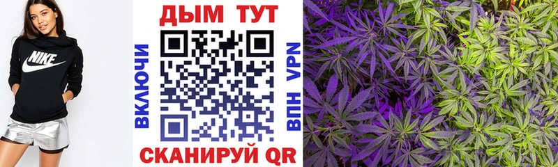 Марихуана White Widow  Новомосковск 